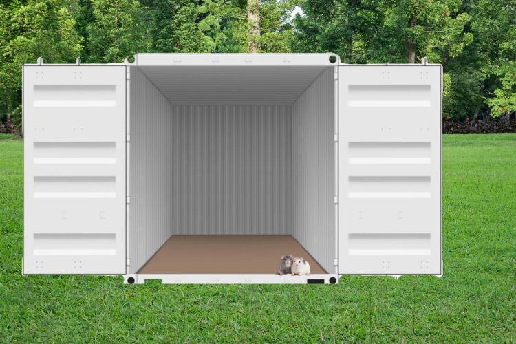 Are portable storage units pest proof?